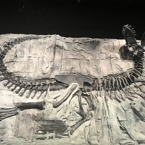 Meet your Posher, Emerson